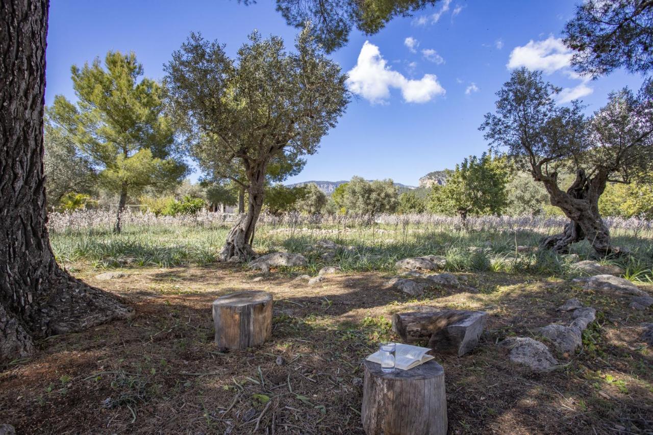 Finca Barons Bunyola Dış mekan fotoğraf